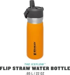 Stanley The IceFlow™ Flip Straw Water Bottle 0,65L - Thermosfles - Saffron -Keukenartikelen Series Winkel 1120x1200 2