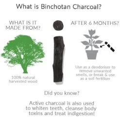 Black + Blum Binchotan Active Charcoal For Eau Good Water Bottles 4-pack -Keukenartikelen Series Winkel 1200x1200 675