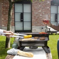 Princess 112252 Hybride Barbecue – Elektrische BBQ - Tafelmodel - 2000W - 44x 29cm - Gebruik Elektrisch Of Met Kolen -Keukenartikelen Series Winkel 1200x1200 995