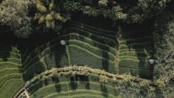 Sola Bestekset Bali - Modern - 9 Persoons - 90 Delig - Zilverwit Edelstaal 18/10 - RVS - Zilver -Keukenartikelen Series Winkel 1200x675 11