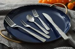 Swiss Pro+ Bestekset In Koffer-72 Delig-12 Persoons-Zwitsers Kwaliteit-Complete Set-100% Roestvrijstaal-Modern -Keukenartikelen Series Winkel 1200x799 49