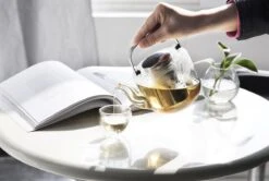 Viva Scandinavia Bjorn Theepot - Glas - Met Filter - 1,2 L - Transparant 19 Viva Scandinavia Bjorn Theepot - Glas - Met Filter - 1,2 L - Transparant -Keukenartikelen Series Winkel 1200x807 3