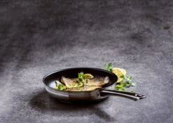 BK Allround Koekenpan Ø 24 Cm - Inductie - PFAS-vrij -Keukenartikelen Series Winkel 1200x851