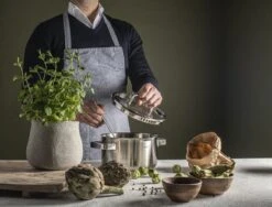 Sola Pannenset Juvia - 4 Delig - Ø 16,16,18,20 Cm - Zilver - RVS - Sandwichbodem -Keukenartikelen Series Winkel 1200x911